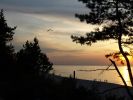 Sztutowo 2009